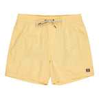 Billabong All Day Lay Back Volley Short