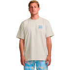 Billabong Elements Regular T Shirt