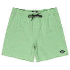 Billabong Every Other Day Lt Shorts