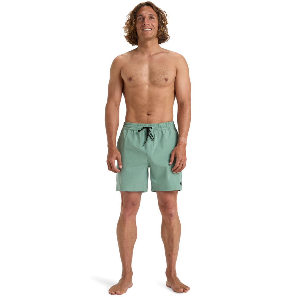 Billabong Every Other Day Lt Shorts