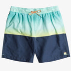 Billabong Fifty 50 LB Shorts