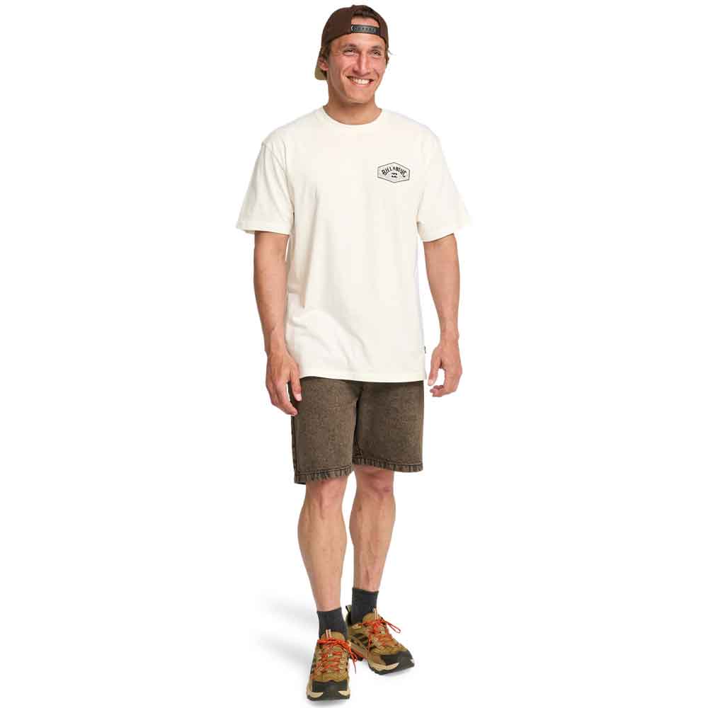Billabong Scenic Arch Adiv Premium T Shirt