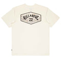 Billabong Scenic Arch Adiv Premium T Shirt