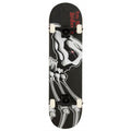 Birdhouse Hawk Falcon 1 8.125" Complete Skateboard
