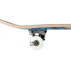 Birdhouse Hawk Spiral Stage 1 7.75" Complete