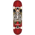 Birdhouse Hawk Icon Stage 1 8" Complete Skateboard