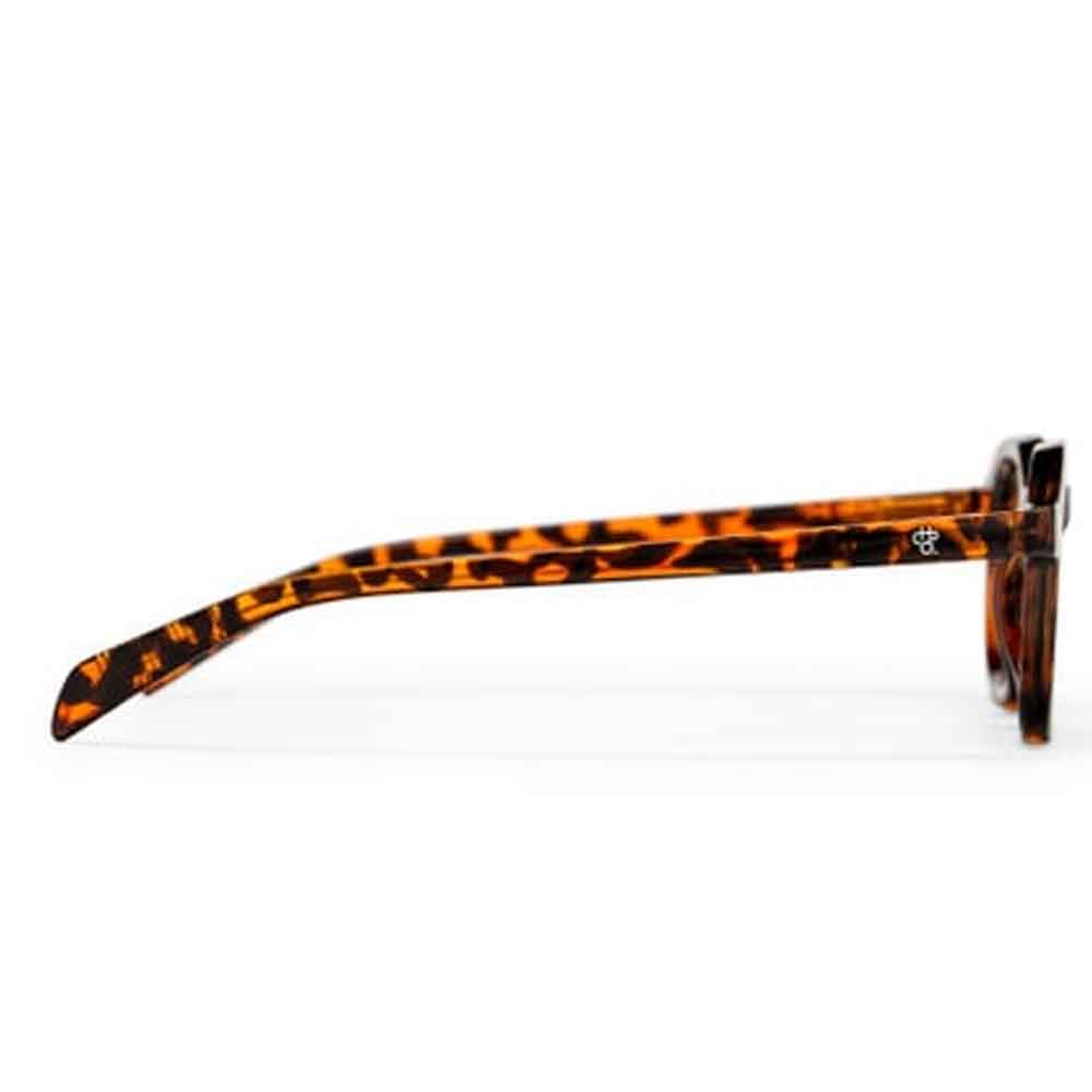 Chpo Anki Sunglasses Turtle Brown With Brown Lens