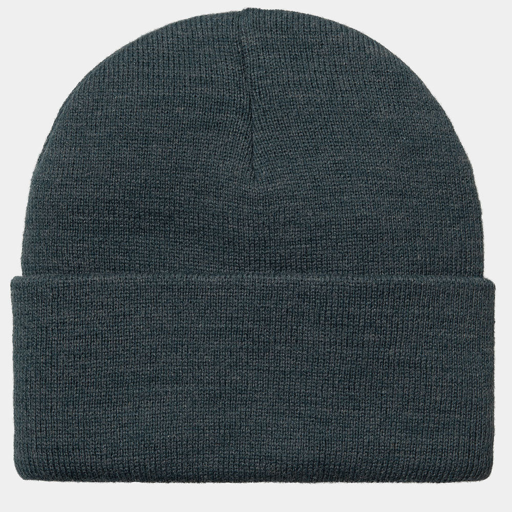 Carhartt american script beanie 2025