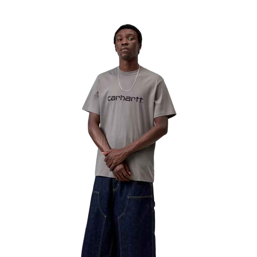 Carhartt WIP Script T Shirt Shady Grey / Dark Navy