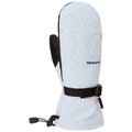 Dakine Womens Camino Snow Mitts Ancient Water