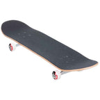 Element Seal Sight 7.75" Complete Skateboard