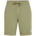 O'Neill  O'Riginals Walk Shorts