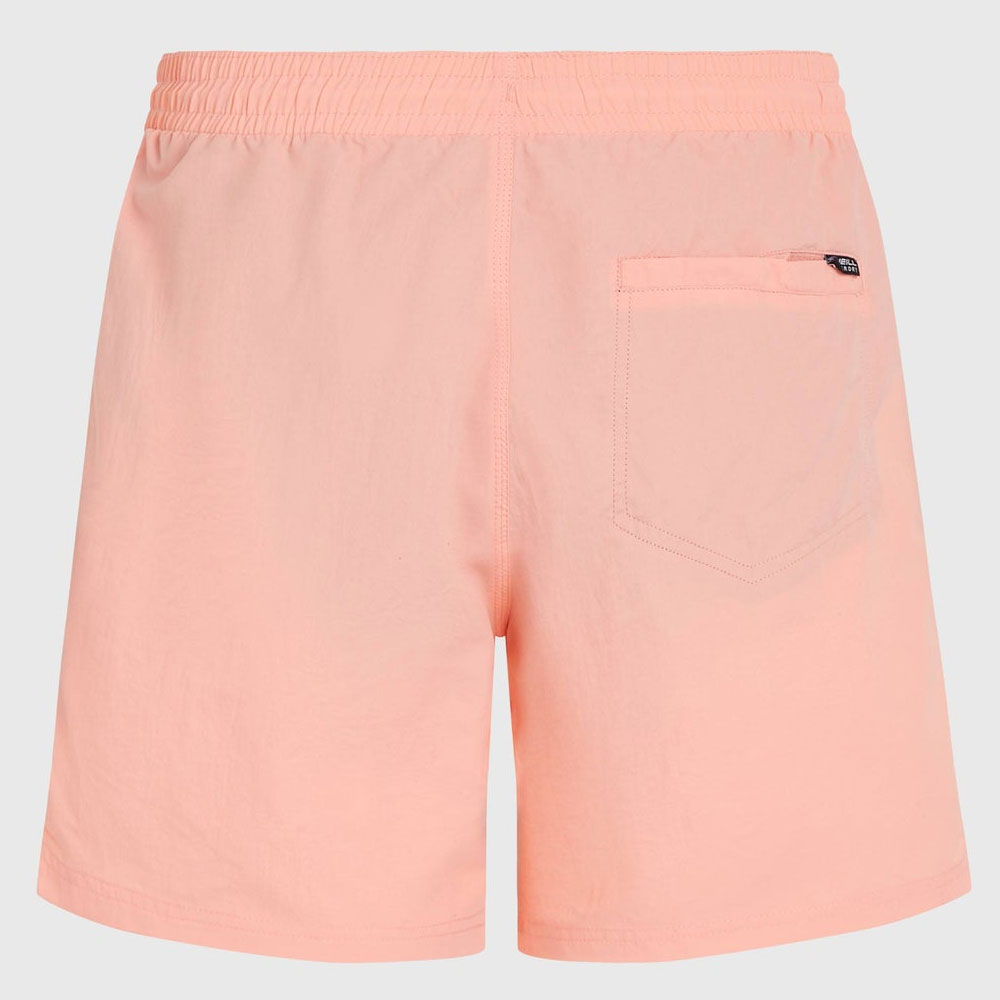 O'Neill  Vert 16'' Swimshorts