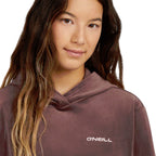 O'Neill Fwc'Cruz Velour Hoodie Purple Gray