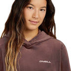 O'Neill Fwc'Cruz Velour Hoodie Purple Gray