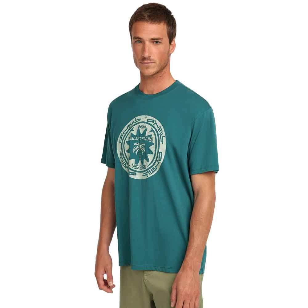 O'Neill Must-have Graphic T-Shirt