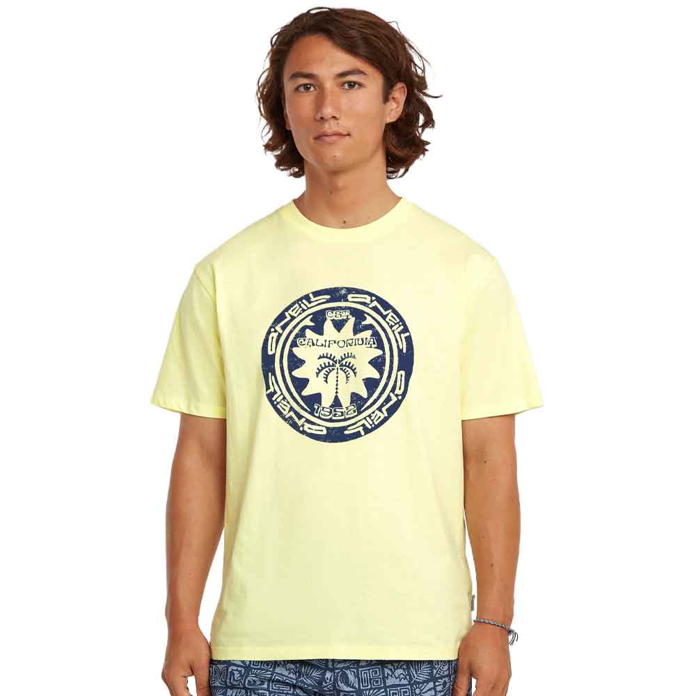 O'Neill Must-have Graphic T-Shirt