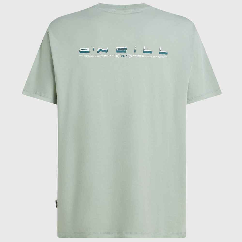 O'Neill Retro Back Print T-Shirt
