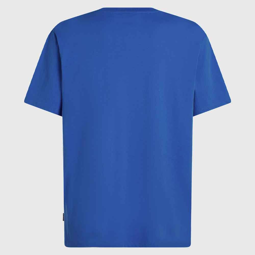 O'Neill Small Logo T-Shirt Blue