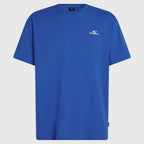 O'Neill Small Logo T-Shirt Blue