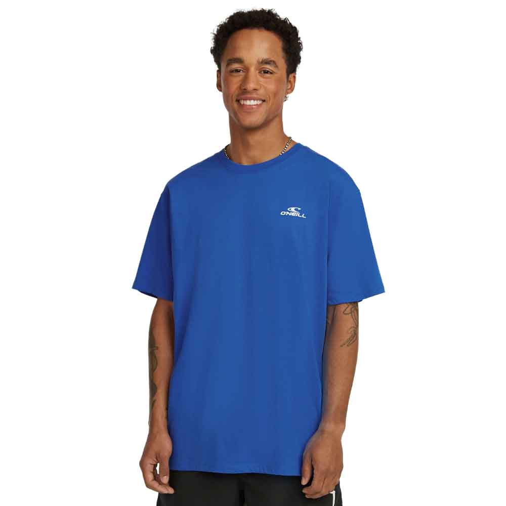 O'Neill Small Logo T-Shirt Blue