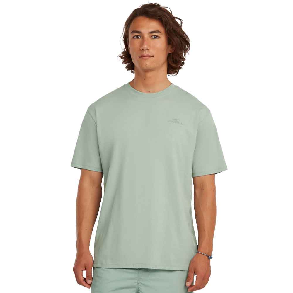 O'Neill Small Logo T-Shirt Marble