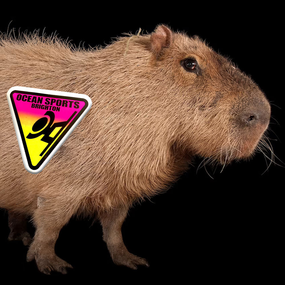 Ocean Sports Brighton Tri Logo Sticker