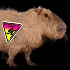 Ocean Sports Brighton Tri Logo Sticker