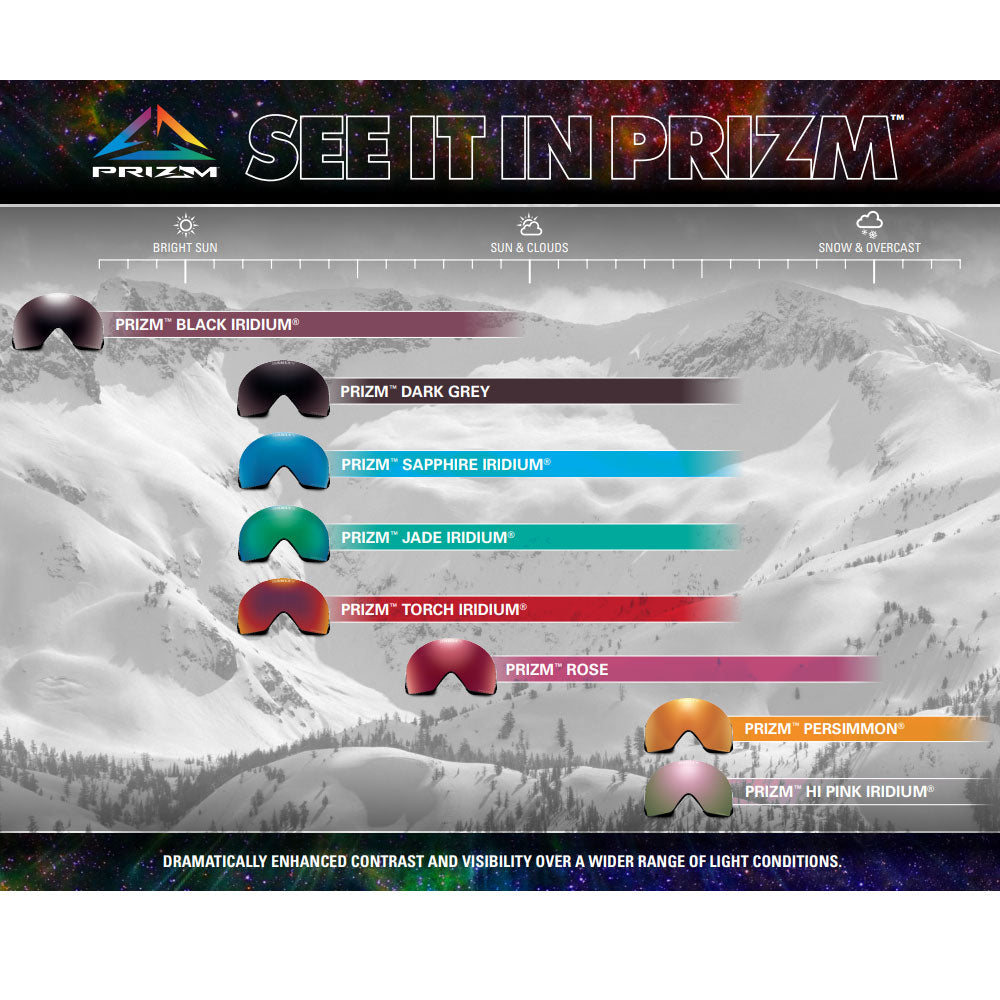 Oakley Target Line L Snow Goggles - Black With Dark Grey Lens