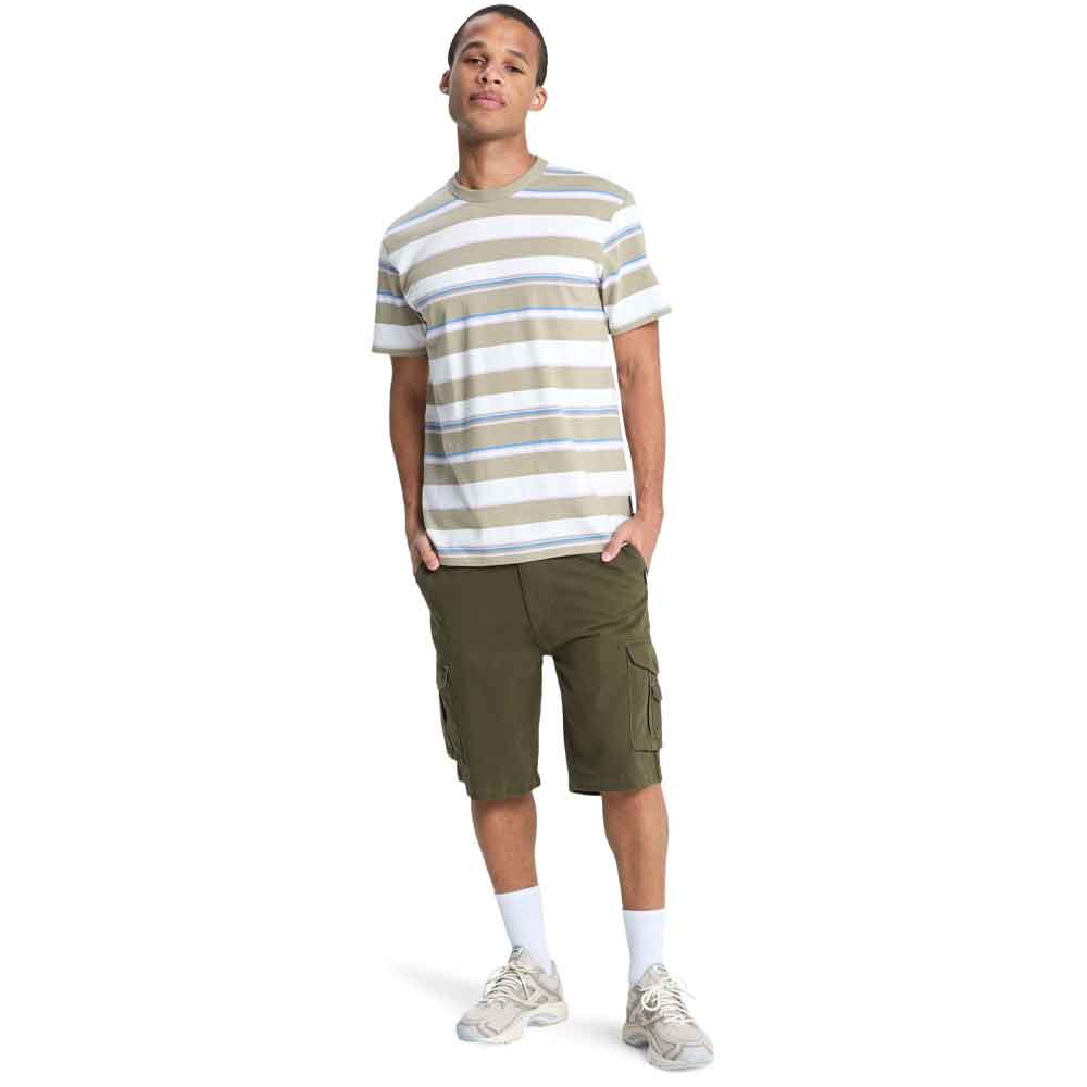 Quiksilver Crucial Battle Cargo Shorts