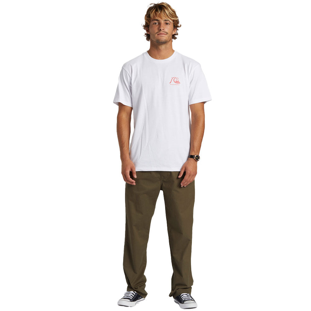 Quiksilver DNA Beach Pant