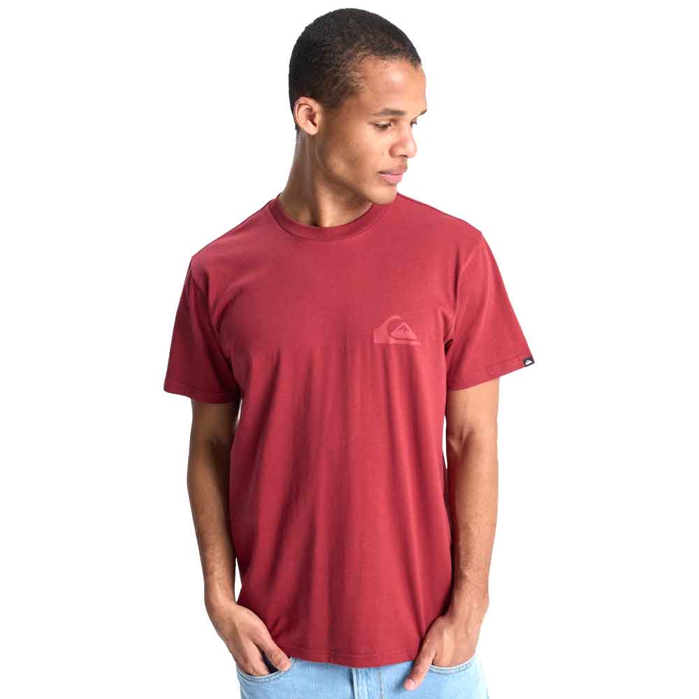 Quiksilver Ev Mini Logo T-Shirt