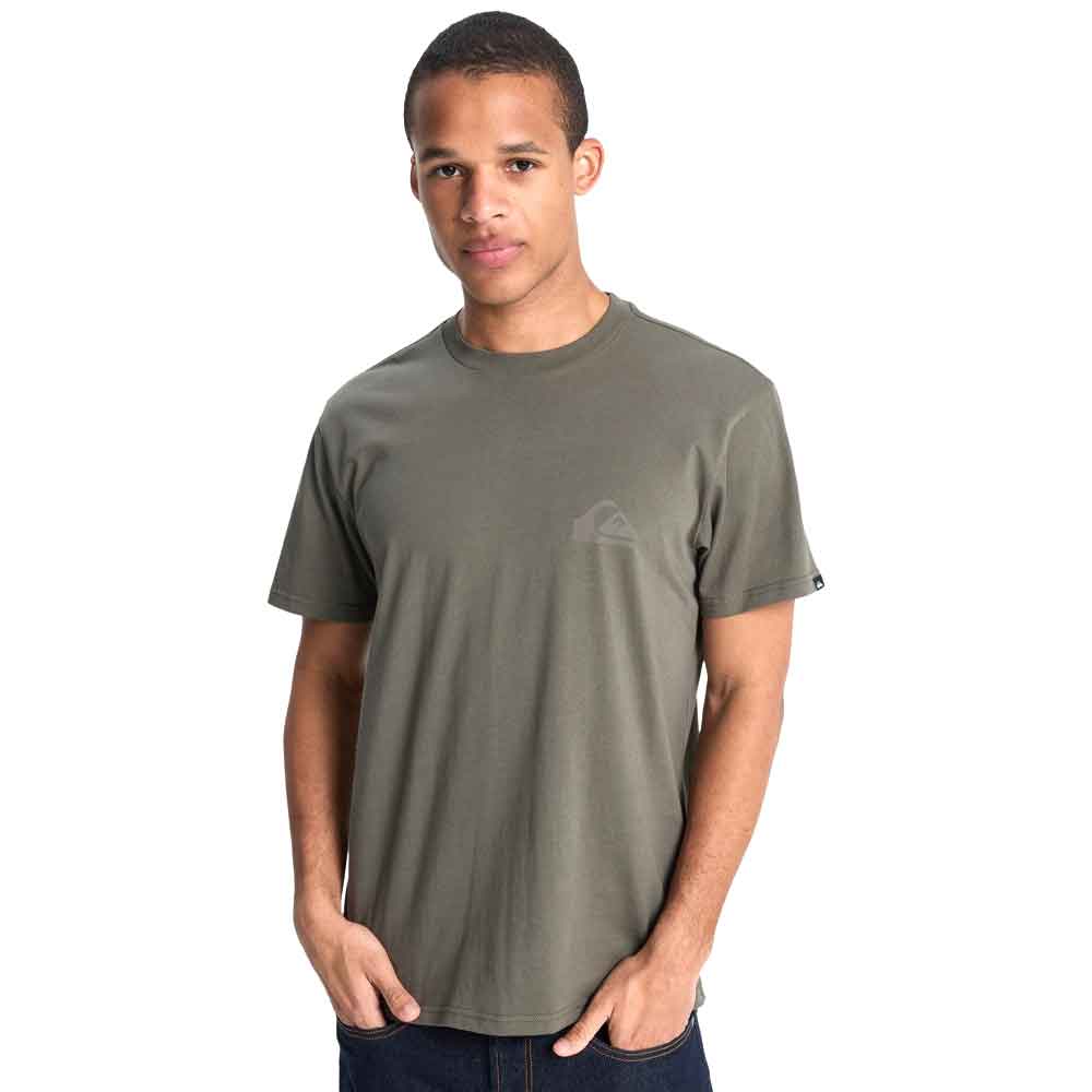 Quiksilver Ev Mini Logo T-Shirt