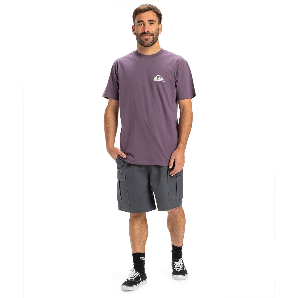 Quiksilver Ev Mini Logo T-Shirt