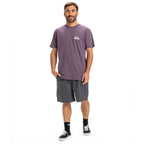 Quiksilver Ev Mini Logo T-Shirt