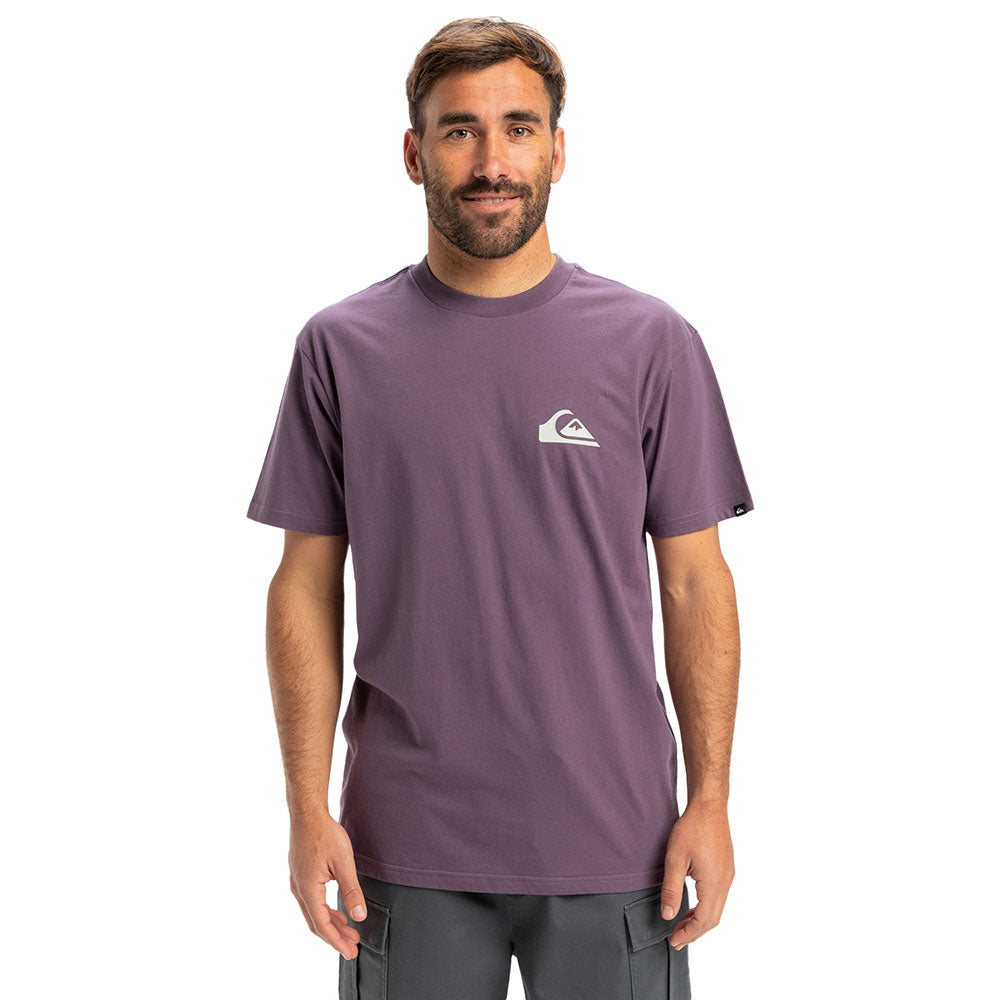Quiksilver Ev Mini Logo T-Shirt