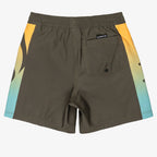 Quiksilver Everyday Holmes Volley Kids 14" Shorts