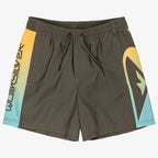 Quiksilver Everyday Holmes Volley Kids 14" Shorts