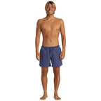 Quiksilver Everyday Surfwash 15 Boardshorts