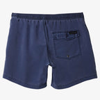 Quiksilver Everyday Surfwash 15 Boardshorts