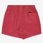 Quiksilver Everyday Surfwash Volley 15" Shorts Russet