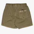 Quiksilver Everyday Surfwash Volley 15" Shorts