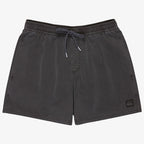 Quiksilver Everyday Surfwash Volley 15" Shorts