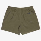Quiksilver Everyday Volley 15 Shorts