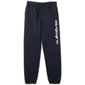 Quiksilver Graphic Jogger