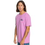 Quiksilver MW Mini Logo T-Shirt