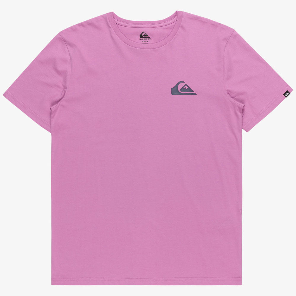 Quiksilver MW Mini Logo T-Shirt