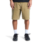 Quiksilver Mercury Carpenter Short
