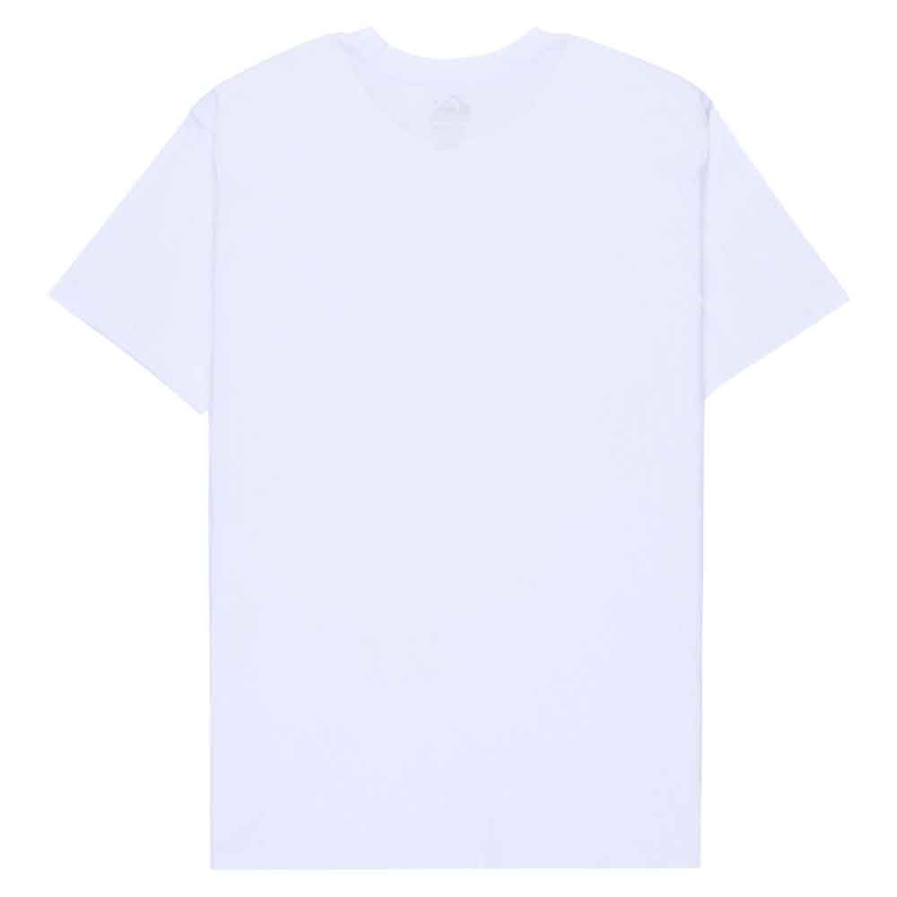 Quiksilver Salt Water T-Shirt