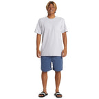 Quiksilver Taxer Walkshort